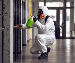 Why You Should Choose Our Mold Remediation Services in Ellijay, GA